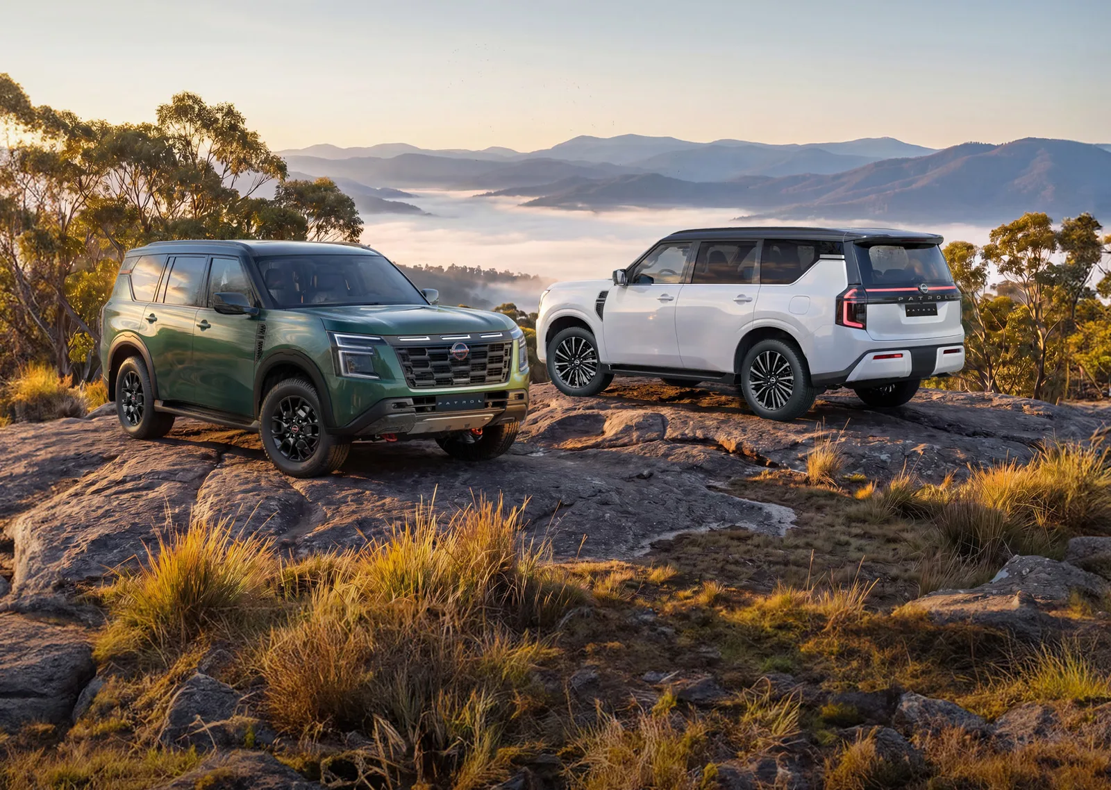 Nissan Patrol